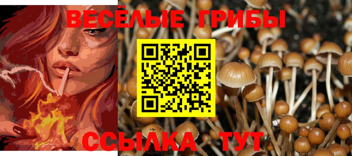 Галлюциногенные грибы ЛСД  Псилоцибиновые грибы GOLDEN TEACHER  Серпухов  Вход с VPN 